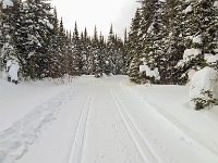 Camp Mercier